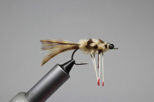 PERMIT CRAB, Del Brown's **