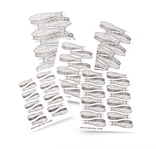 ADULT STONEFLY WING ADULT STONEFLY WING