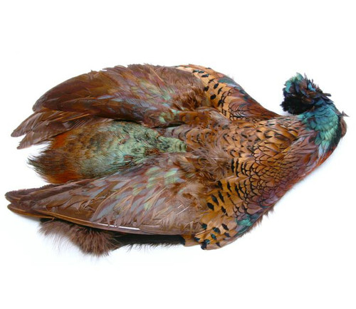 RINGNECK PHEASANT - WHOLE SKIN
