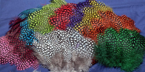 GUINEA HACKLE STRUNG GUINEA HACKLE STRUNG