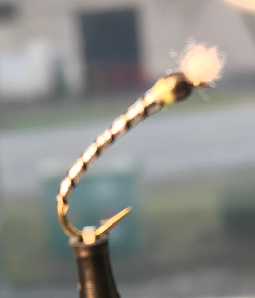 DINNER MINT CHIRONOMID