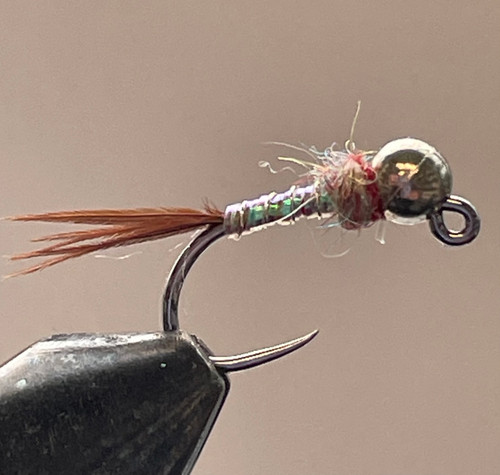 RAINBOW WARRIOR TUNGSTEN JIG