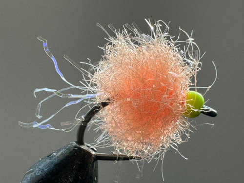 FNF DAPHNIA TUNGSTEN