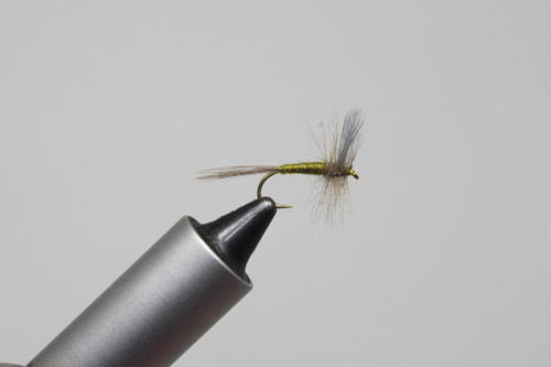 BLUE WING OLIVE - Fly Angler Distributing Inc