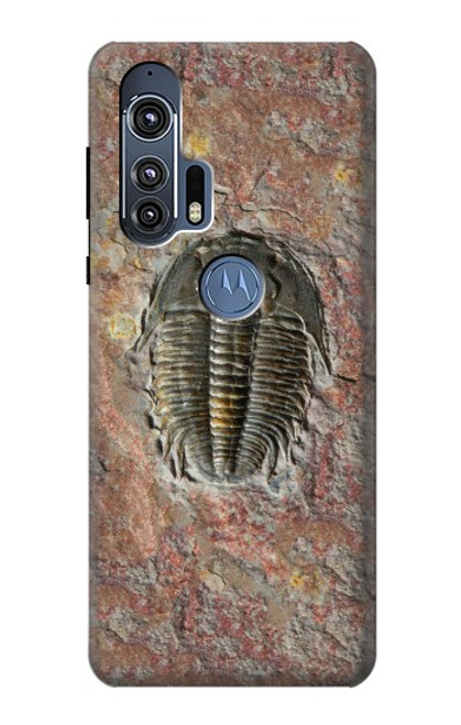 S1454 Trilobite Fossil Case For Motorola Edge+