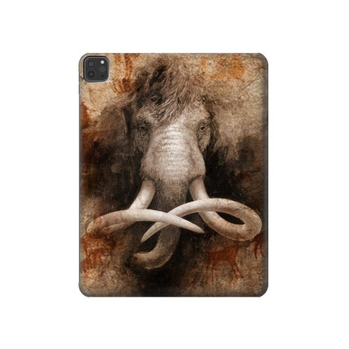 S3427 Mammoth Ancient Cave Art Hard Case For iPad Pro 11 (2021,2020,2018, 3rd, 2nd, 1st)