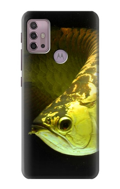 S1021 Gold Arowana Fish Case For Motorola Moto G30, G20, G10