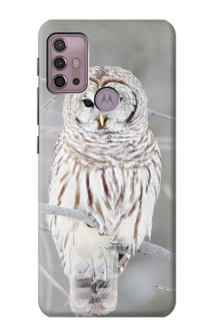 S1566 Snowy Owl White Owl Case For Motorola Moto G30, G20, G10