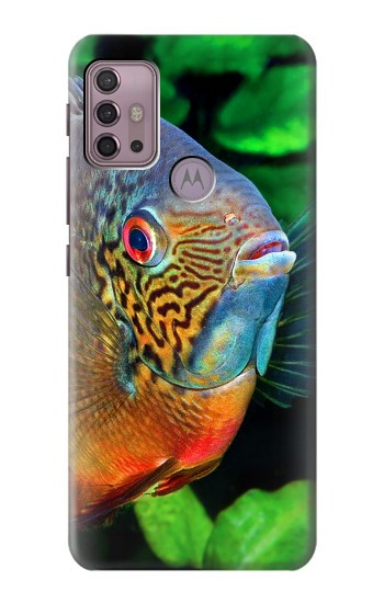 S1812 Cichlid Fish Case For Motorola Moto G30, G20, G10