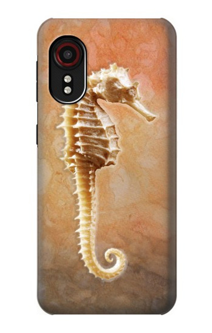 S2674 Seahorse Skeleton Fossil Case For Samsung Galaxy Xcover 5