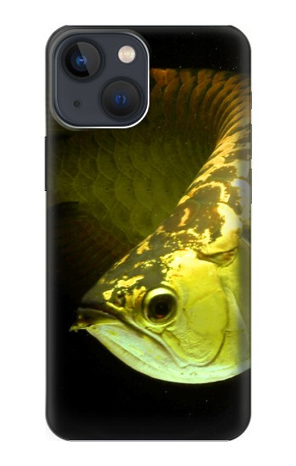 S1021 Gold Arowana Fish Case For iPhone 13 mini