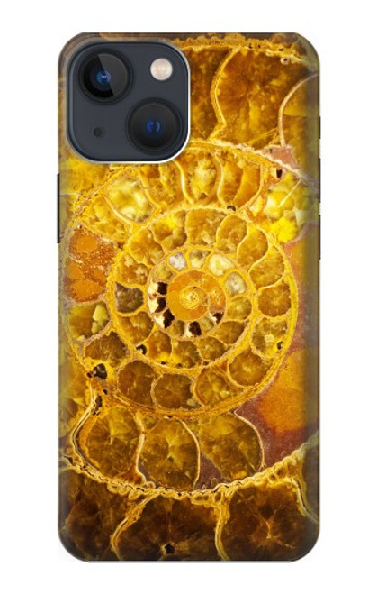 S1789 Ammonite Fossils Case For iPhone 13 mini