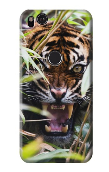 S3838 Barking Bengal Tiger Case For Google Pixel 2