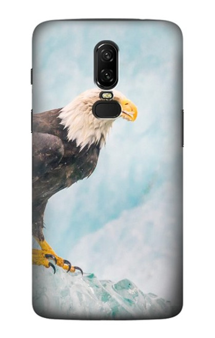 S3843 Bald Eagle On Ice Case For OnePlus 6