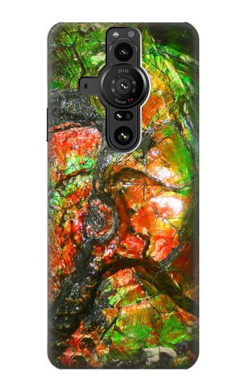 S2694 Ammonite Fossil Case For Sony Xperia Pro-I