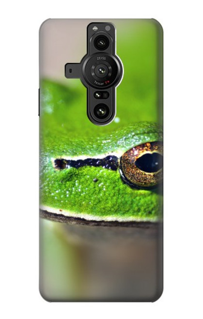 S3845 Green frog Case For Sony Xperia Pro-I