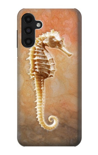 S2674 Seahorse Skeleton Fossil Case For Samsung Galaxy A13 4G