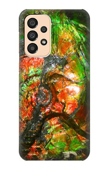 S2694 Ammonite Fossil Case For Samsung Galaxy A33 5G