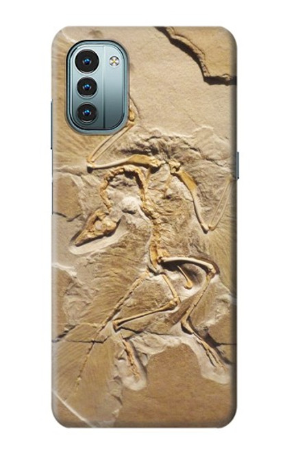 S0380 Dinosaur Fossil Case For Nokia G11, G21