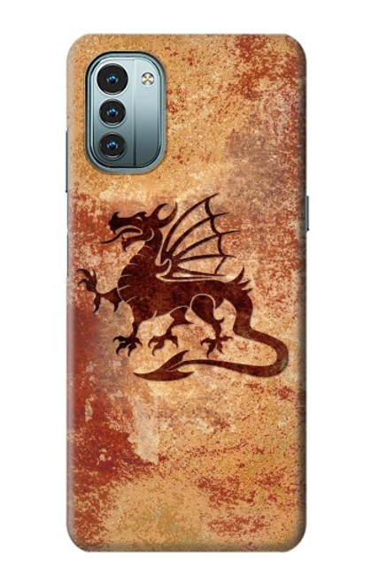 S2485 Dragon Metal Texture Graphic Printed Case For Nokia G11, G21