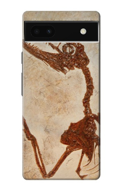 S0379 Dinosaur Fossil Case For Google Pixel 6a