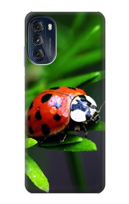S0263 Ladybug Case For Motorola Moto G (2022)