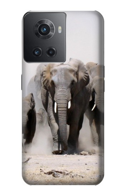S3142 African Elephant Case For OnePlus 10R