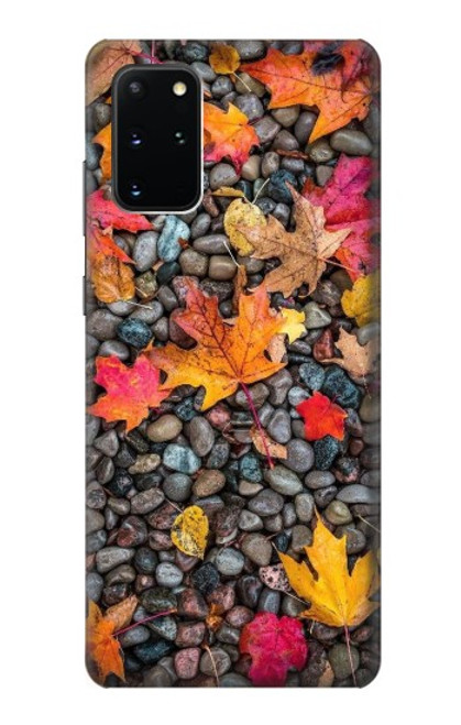 S3889 Maple Leaf Case For Samsung Galaxy S20 Plus, Galaxy S20+