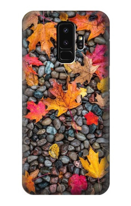 S3889 Maple Leaf Case For Samsung Galaxy S9 Plus