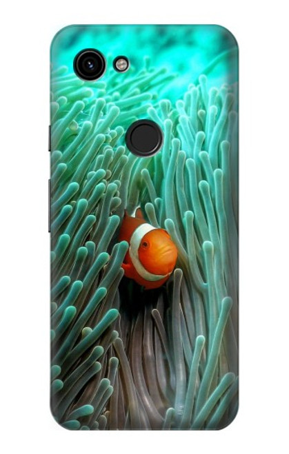 S3893 Ocellaris clownfish Case For Google Pixel 3a