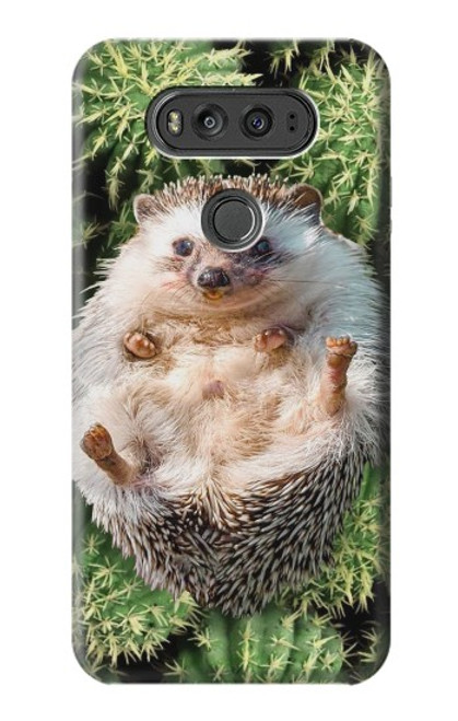 S3863 Pygmy Hedgehog Dwarf Hedgehog Paint Case For LG V20