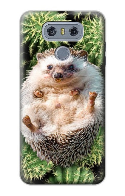 S3863 Pygmy Hedgehog Dwarf Hedgehog Paint Case For LG G6