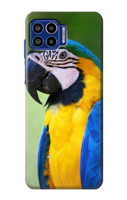 S3888 Macaw Face Bird Case For Motorola One 5G