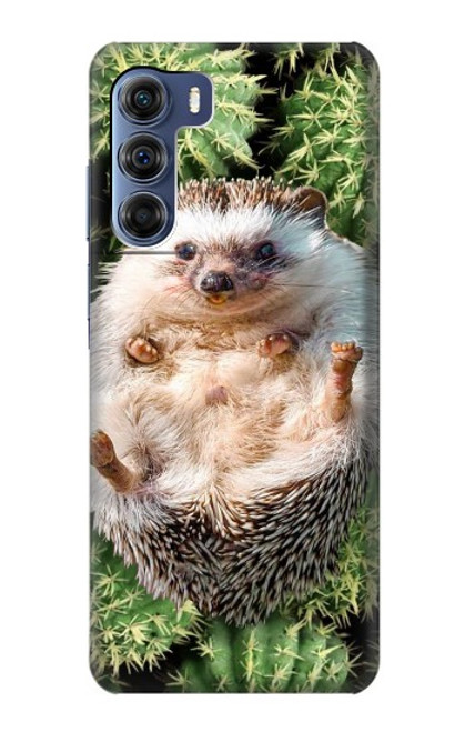 S3863 Pygmy Hedgehog Dwarf Hedgehog Paint Case For Motorola Edge S30