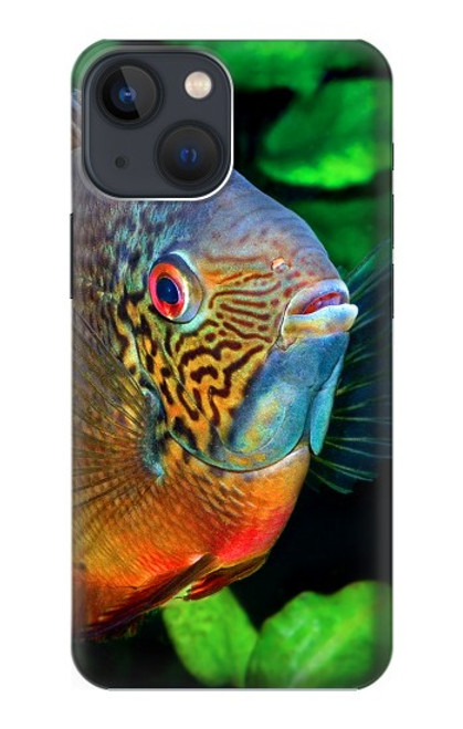 S1812 Cichlid Fish Case For iPhone 14