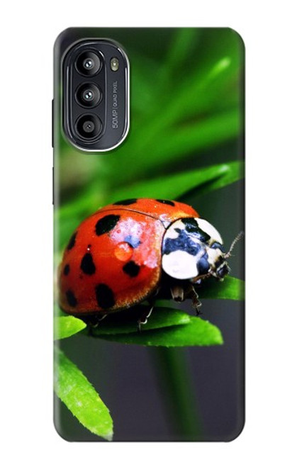 S0263 Ladybug Case For Motorola Moto G52, G82 5G