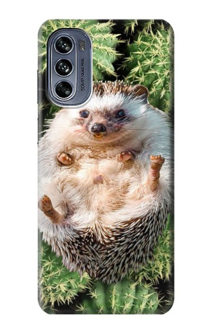 S3863 Pygmy Hedgehog Dwarf Hedgehog Paint Case For Motorola Moto G62 5G