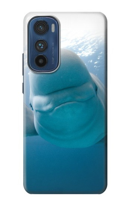 S1801 Beluga Whale Smile Whale Case For Motorola Edge 30