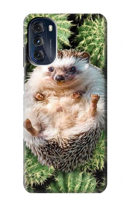 S3863 Pygmy Hedgehog Dwarf Hedgehog Paint Case For Motorola Moto G 5G (2023)