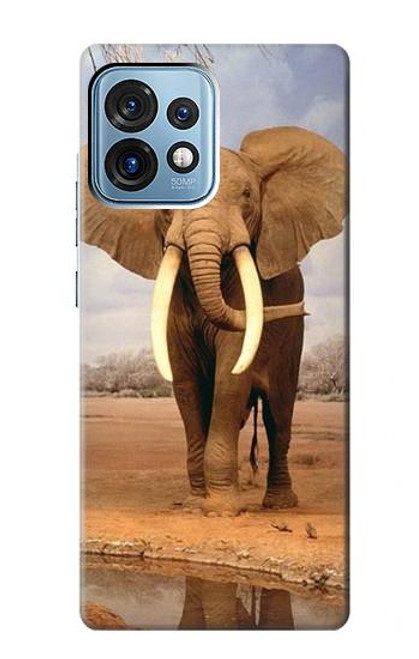 S0310 African Elephant Case For Motorola Edge+ (2023), X40, X40 Pro, Edge 40 Pro