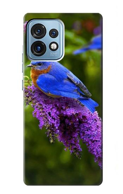 S1565 Bluebird of Happiness Blue Bird Case For Motorola Edge+ (2023), X40, X40 Pro, Edge 40 Pro