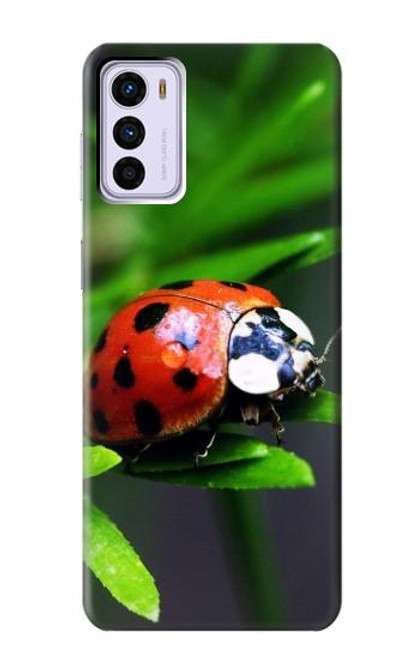 S0263 Ladybug Case For Motorola Moto G42