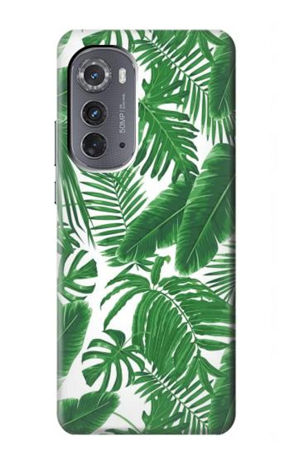 S3457 Paper Palm Monstera Case For Motorola Edge (2022)