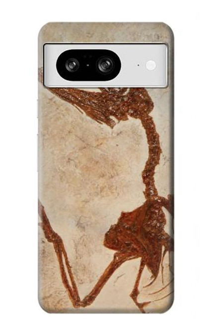 S0379 Dinosaur Fossil Case For Google Pixel 8