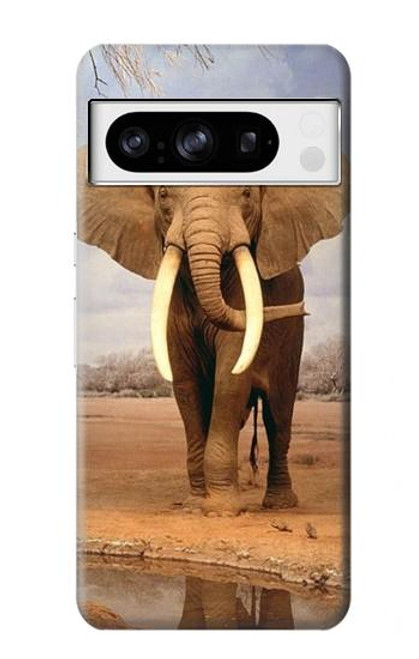 S0310 African Elephant Case For Google Pixel 8 pro