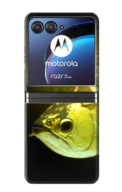 S1021 Gold Arowana Fish Case For Motorola Razr 40 Ultra