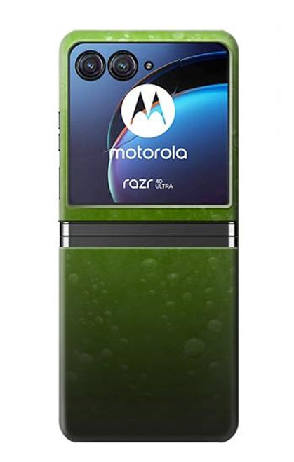 S2475 Green Apple Texture Seamless Case For Motorola Razr 40 Ultra