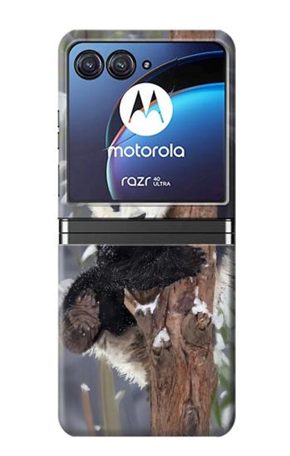 S3793 Cute Baby Panda Snow Painting Case For Motorola Razr 40 Ultra