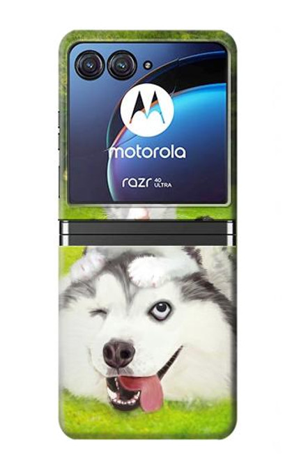 S3795 Kitten Cat Playful Siberian Husky Dog Paint Case For Motorola Razr 40 Ultra