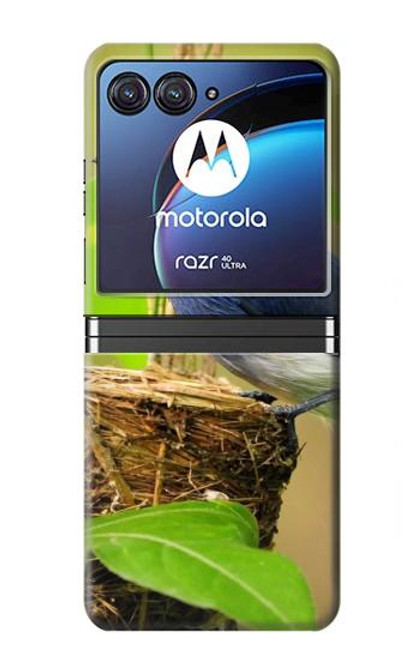 S3839 Bluebird of Happiness Blue Bird Case For Motorola Razr 40 Ultra